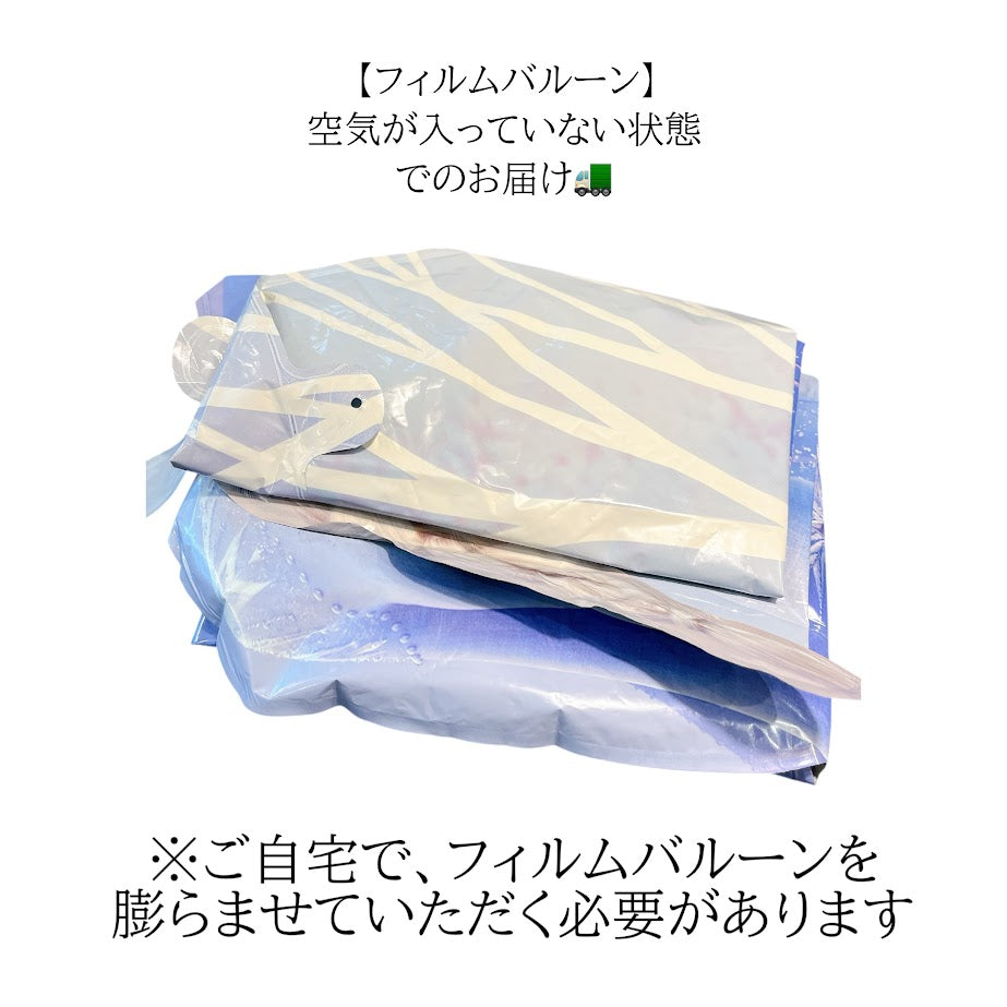 Frozen special（エルサ）